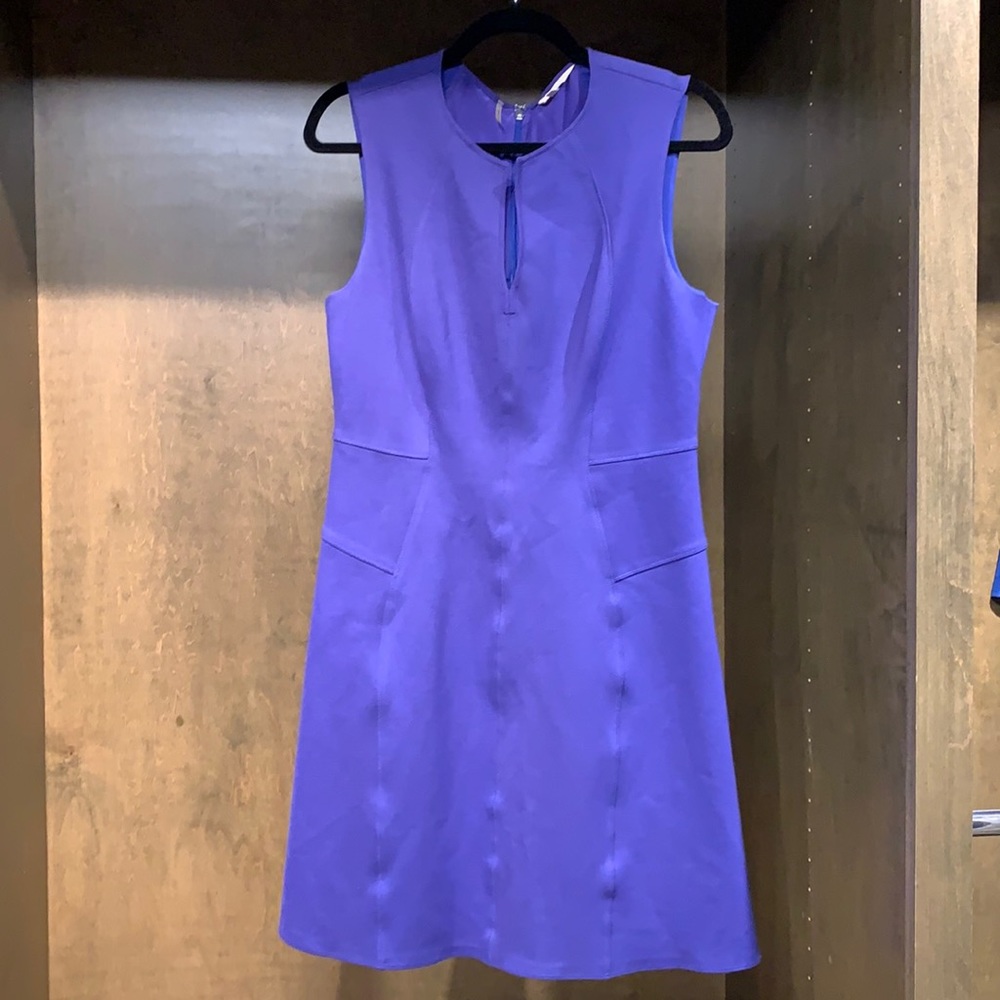 Rebecca Taylor Fabulous Purple Dress!